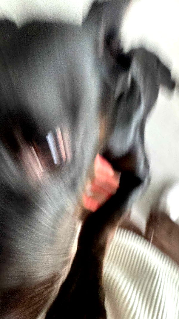 jacobxday image ~ Altpins