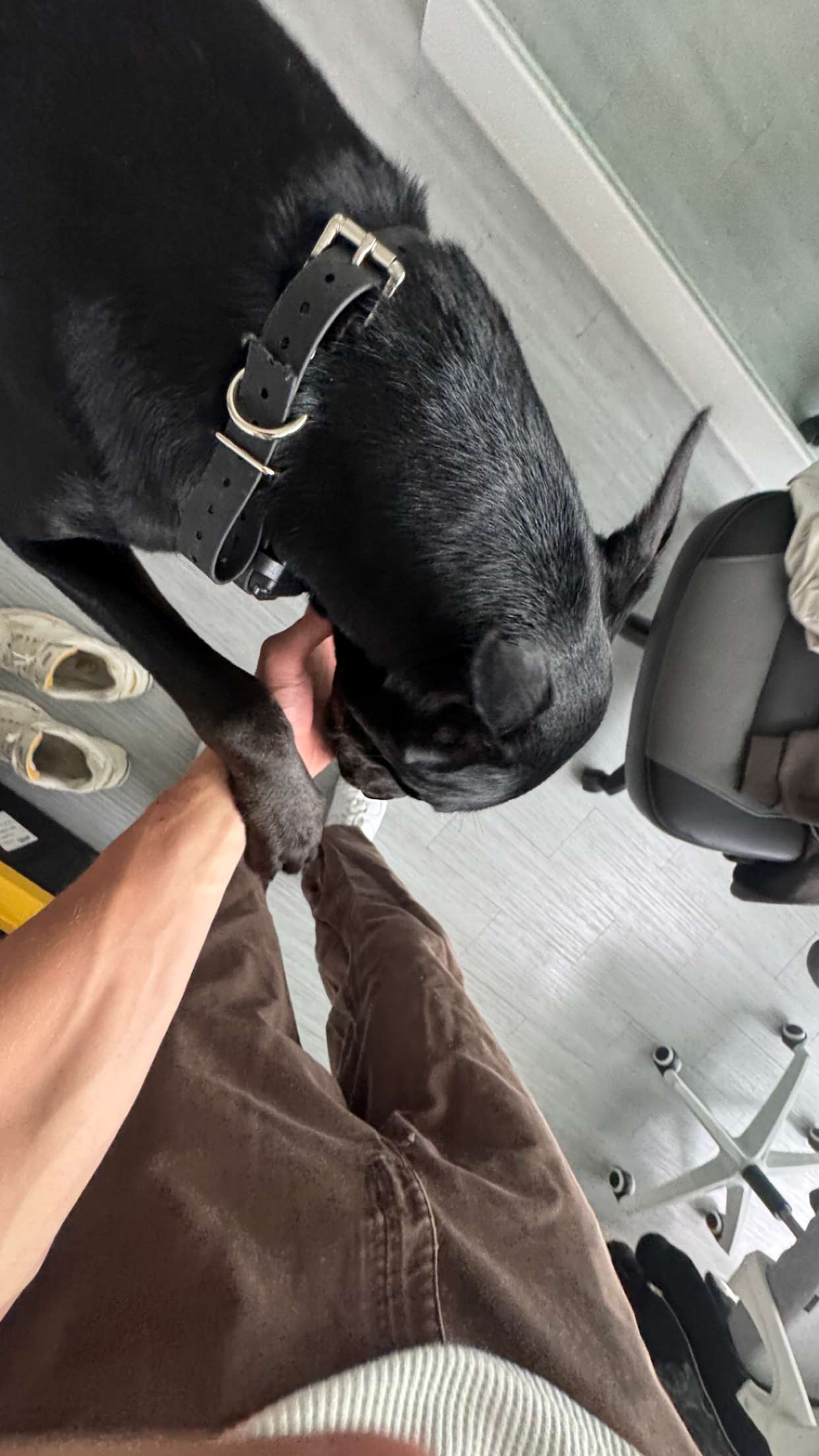 jacobxday snapchat image archive image