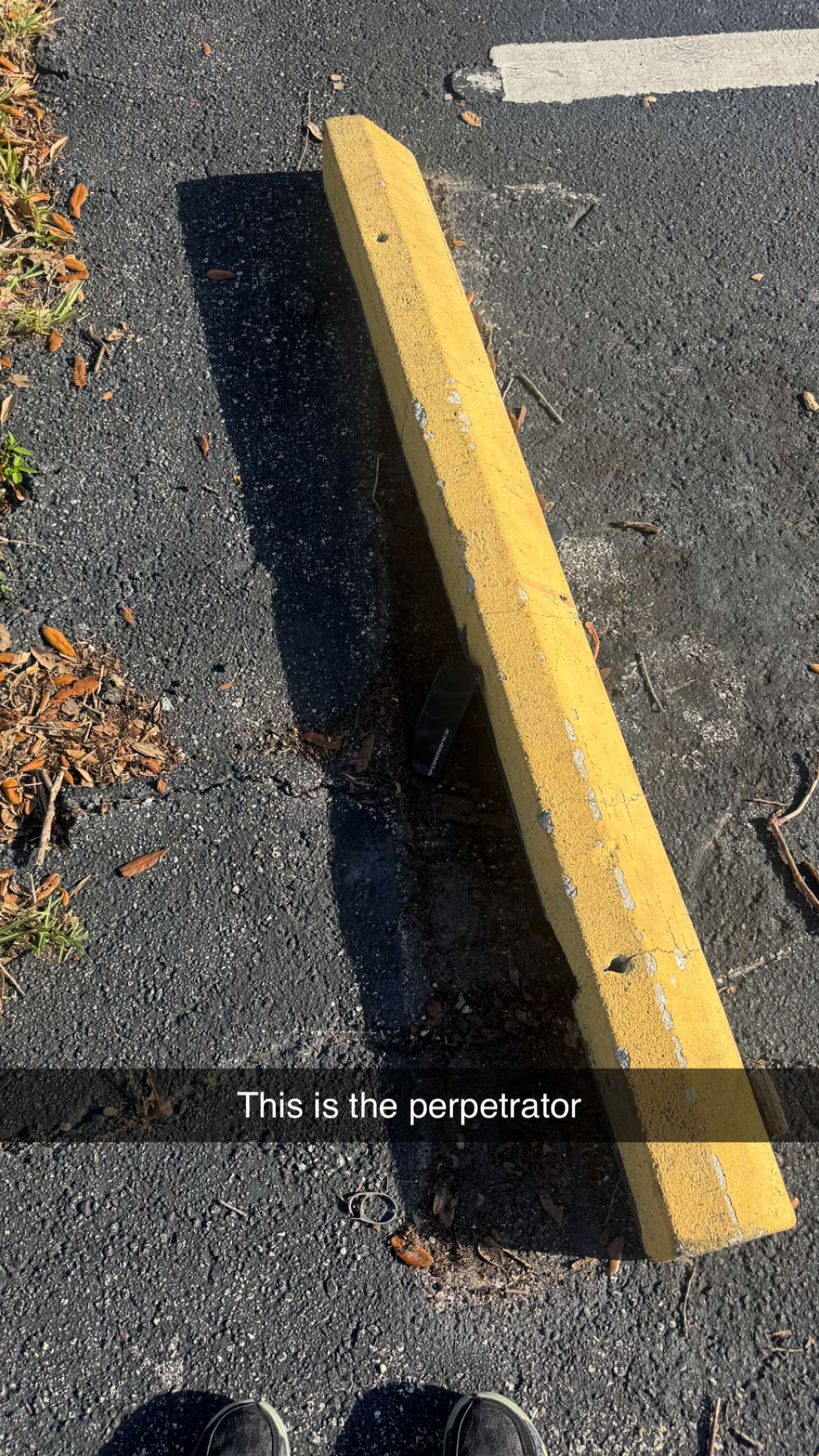 jacobxday snapchat image archive image