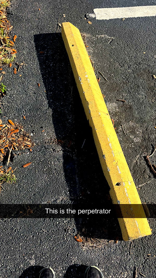 jacobxday image ~ Altpins