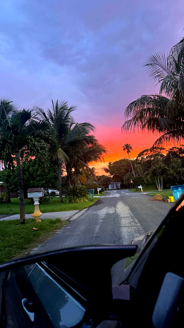 jacobxday image ~ Altpins