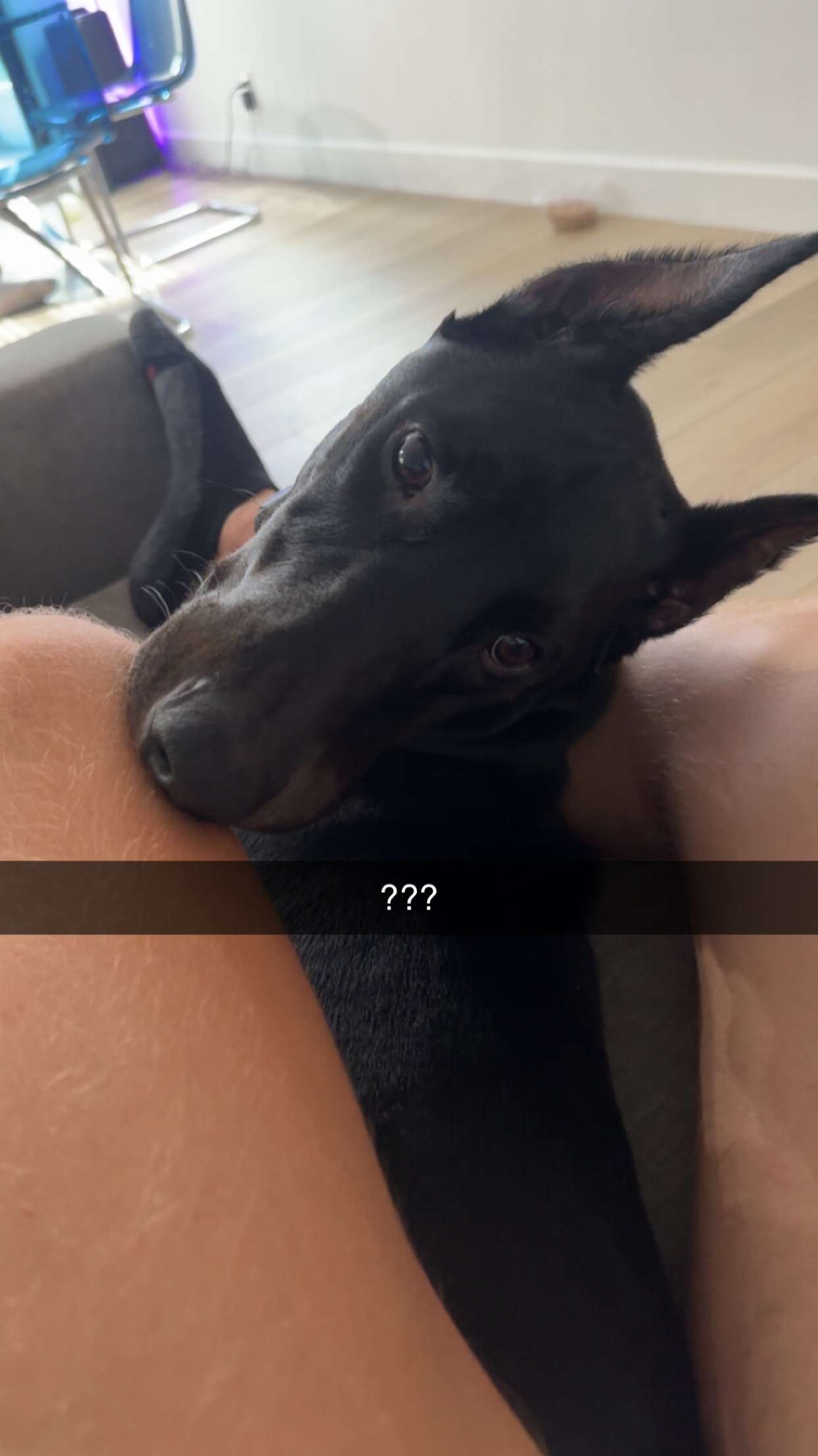 jacobxday snapchat image archive image