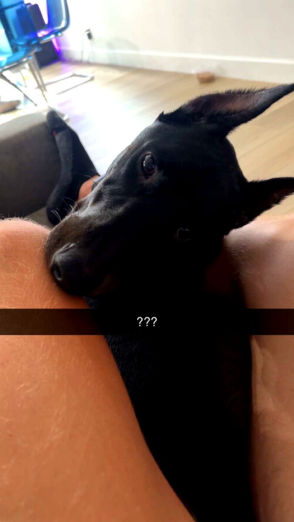 jacobxday image ~ Altpins