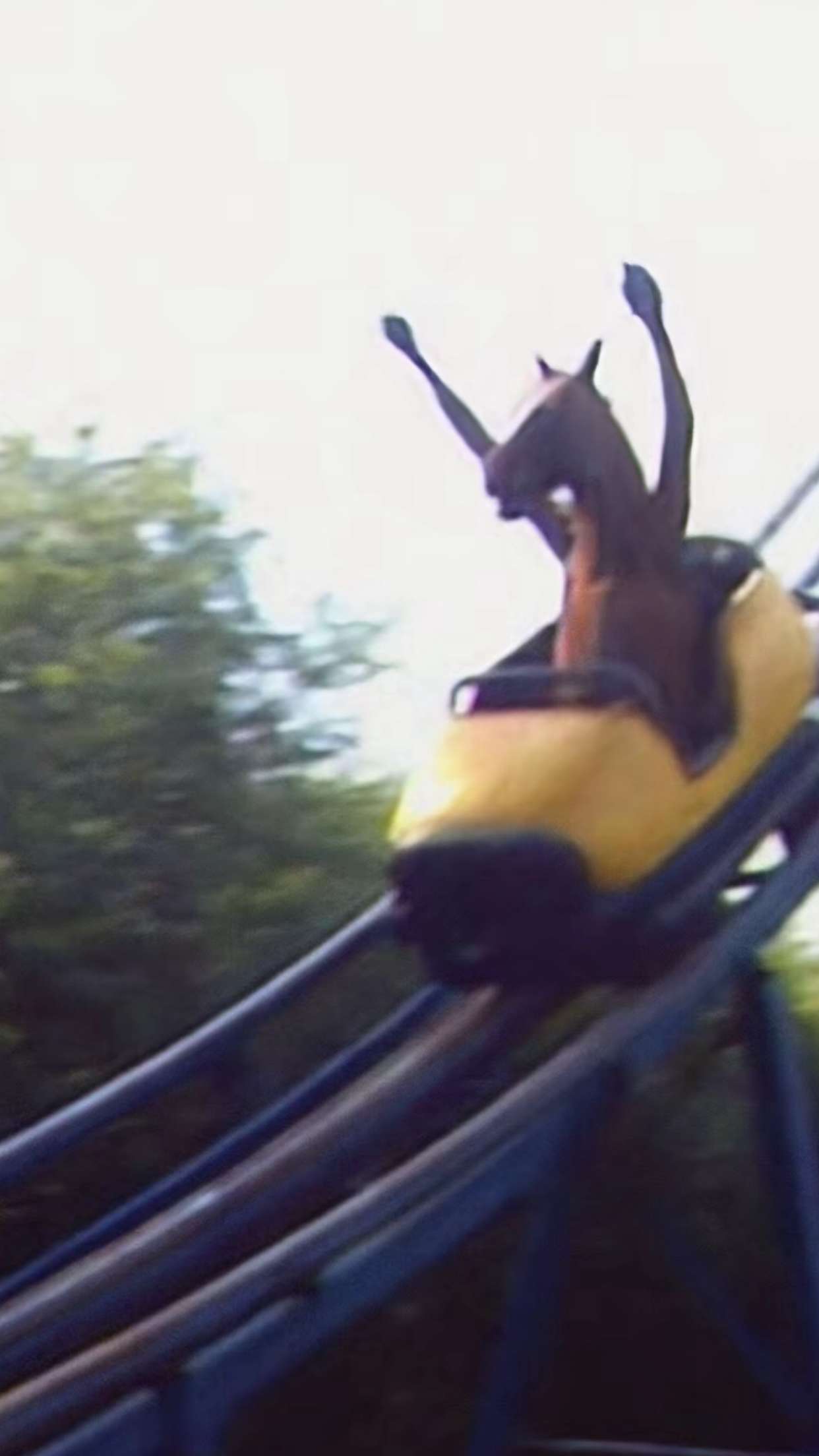 jacobxday snapchat image archive image