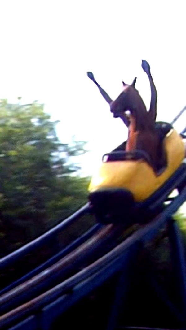 jacobxday image ~ Altpins