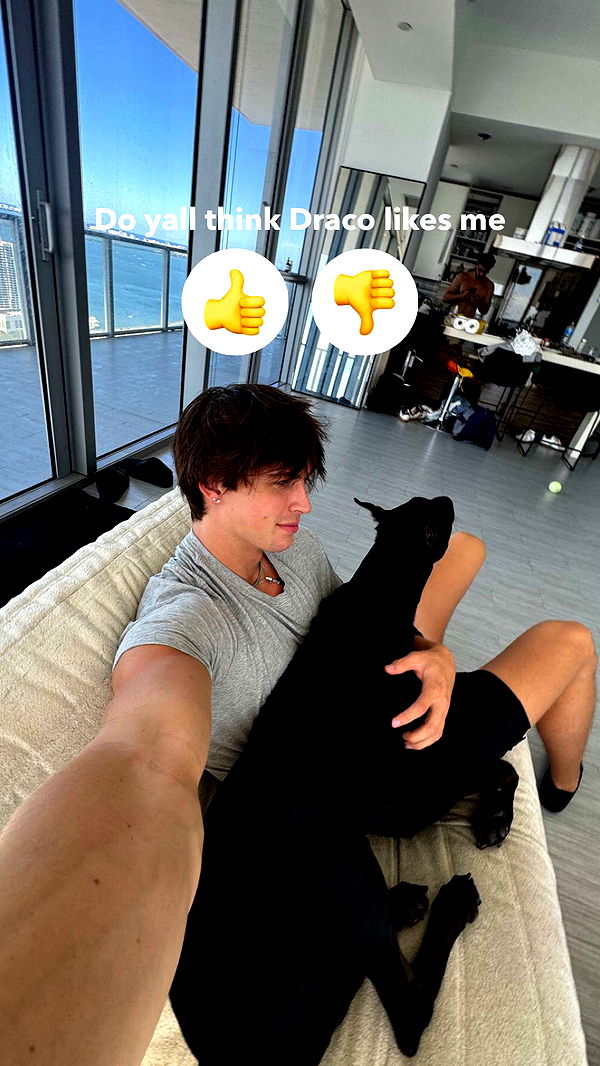 jacobxday image ~ Altpins