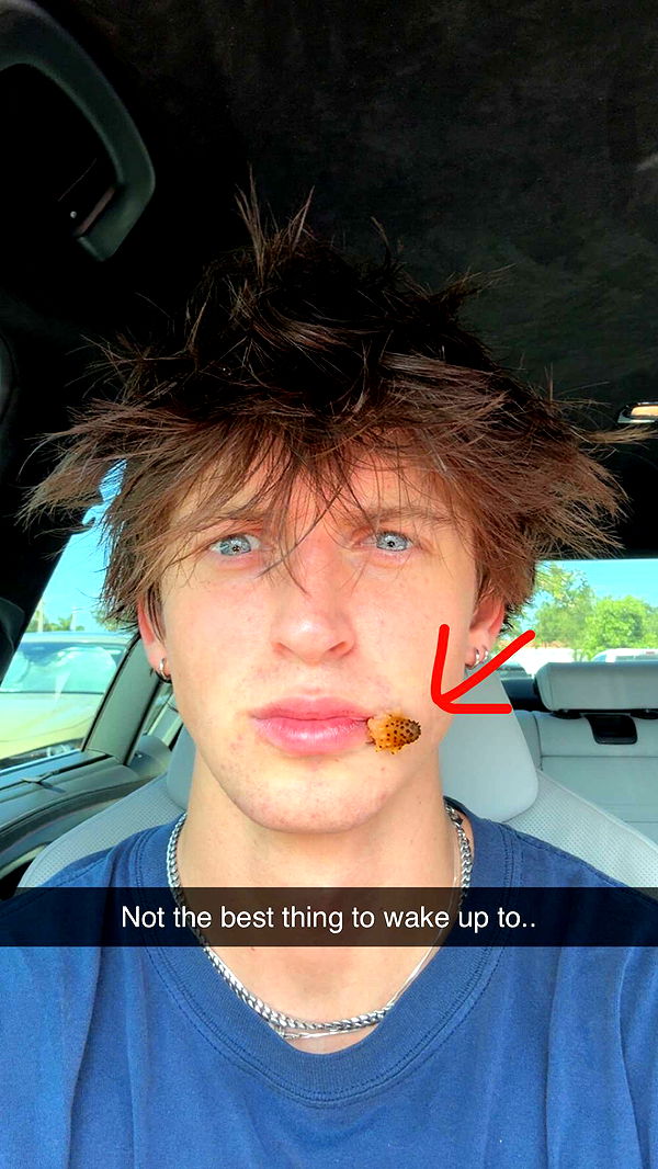 jacobxday image ~ Altpins