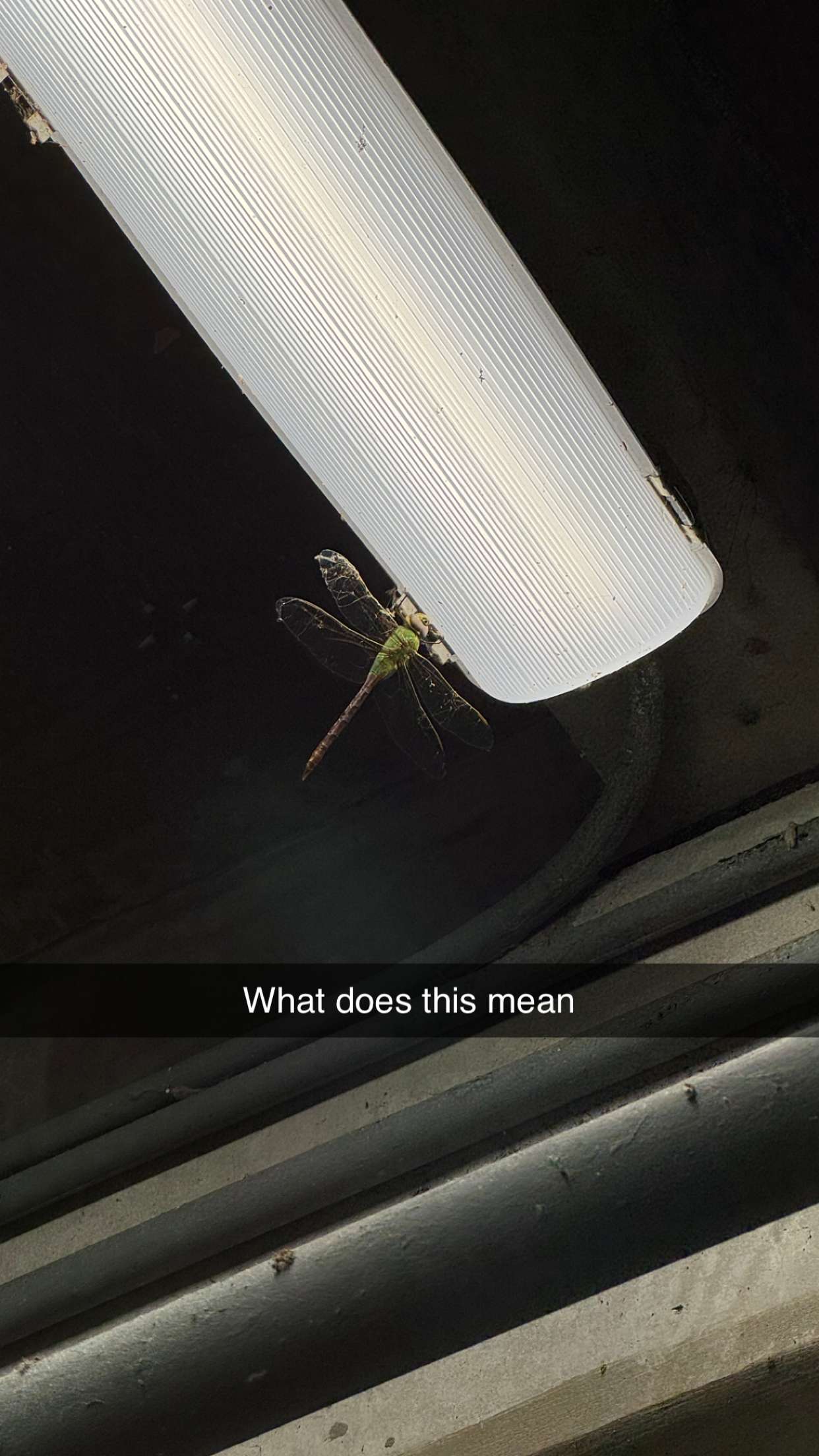 jacobxday snapchat image archive image