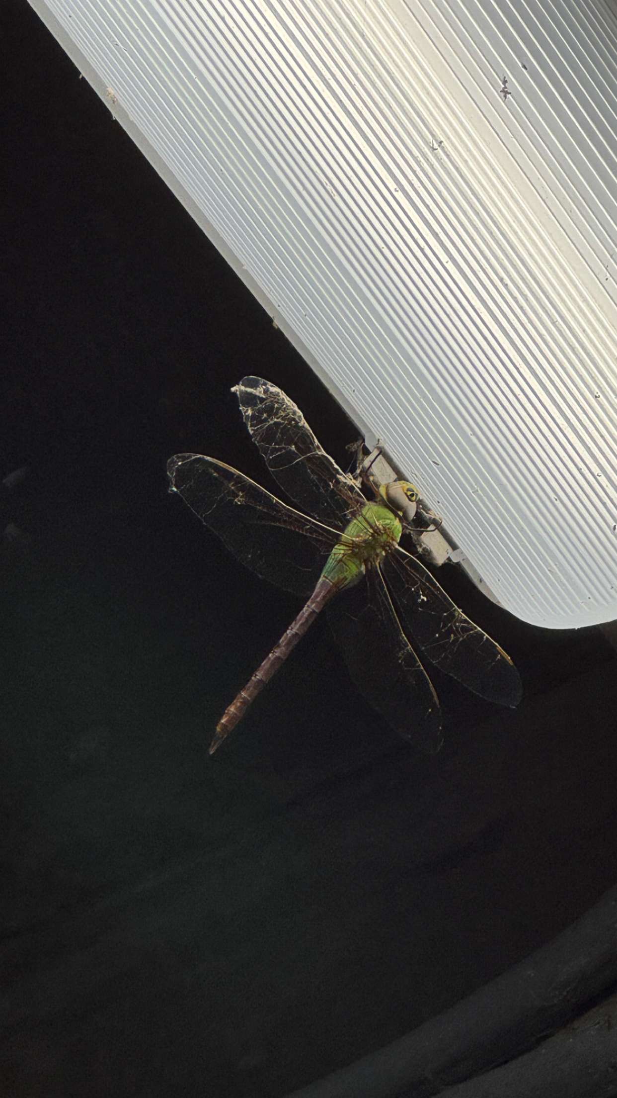 jacobxday snapchat image archive image