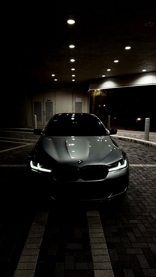 jacobxday image ~ Altpins