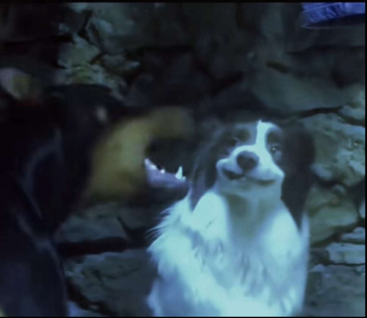 jacobxday snapchat image archive image