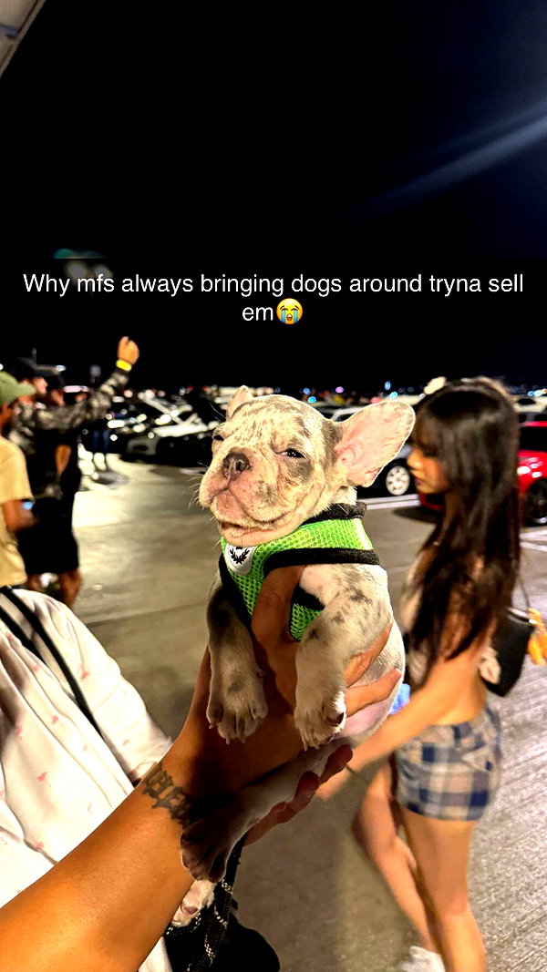 jacobxday snapchat image archive image