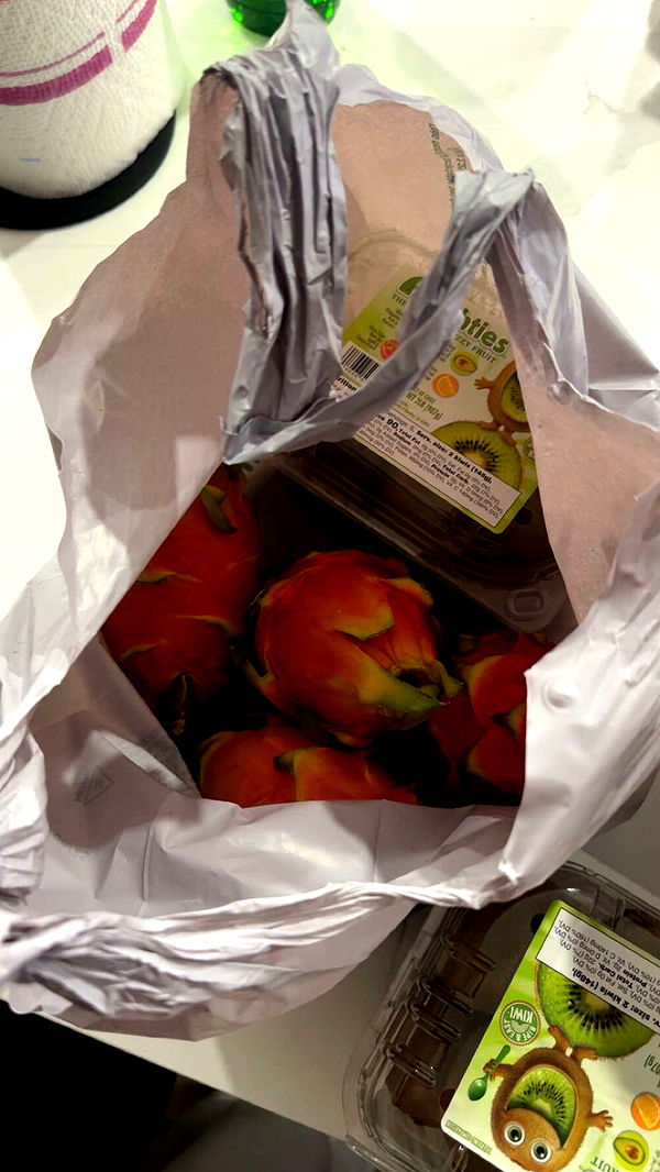 jacobxday image ~ Altpins