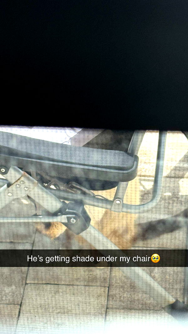 jacobxday image ~ Altpins