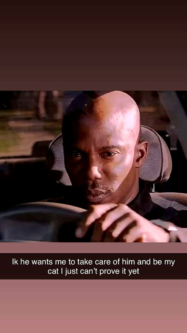 jacobxday image ~ Altpins