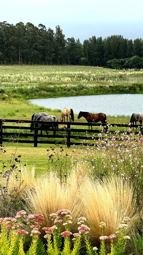 jadelynmusic image ~ Altpins