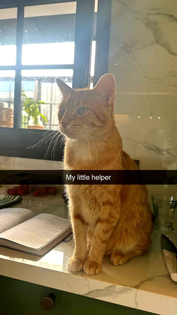 jadelynmusic image ~ Altpins