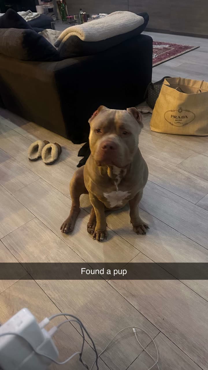 jadelynmusic snapchat image archive image