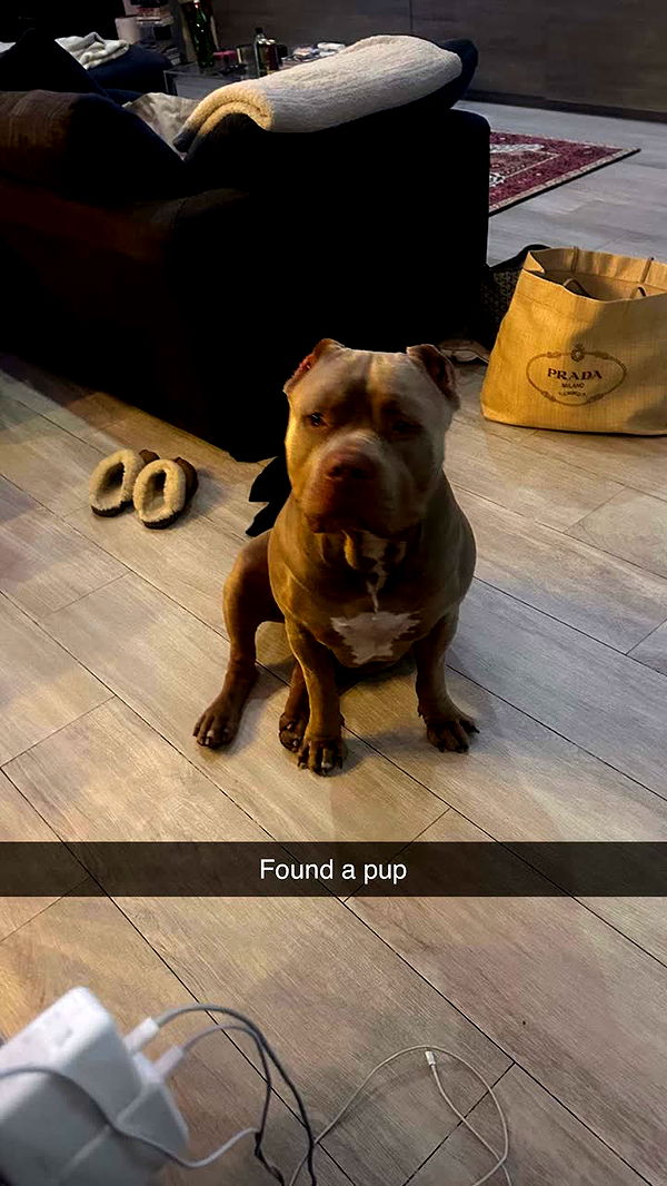 jadelynmusic image ~ Altpins