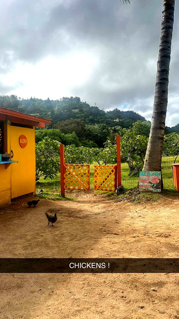 jadelynmusic image ~ Altpins