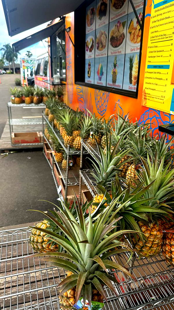 jadelynmusic image ~ Altpins