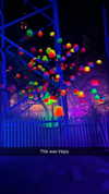 jadelynmusic Altpins Profile Picture