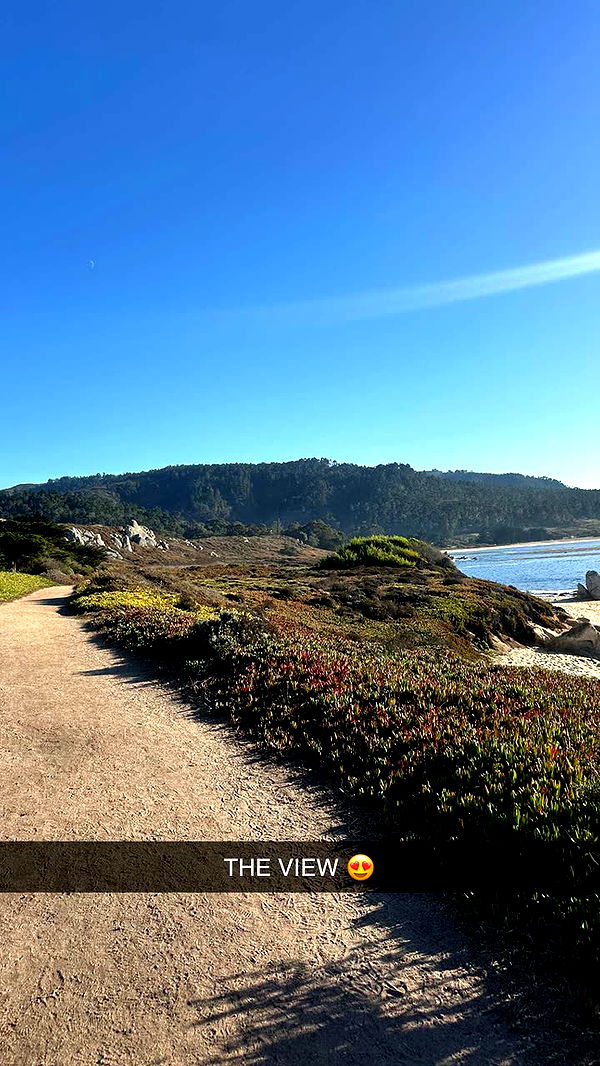 jadelynmusic image ~ Altpins