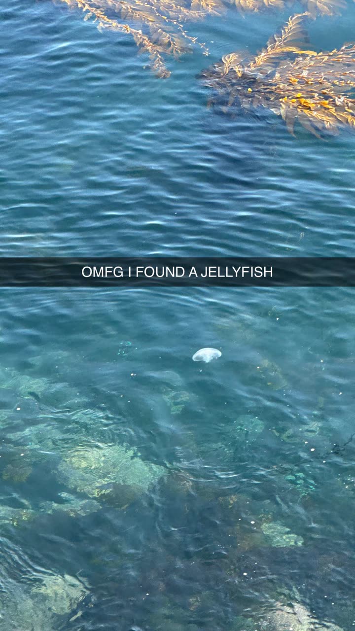 jadelynmusic snapchat image archive image