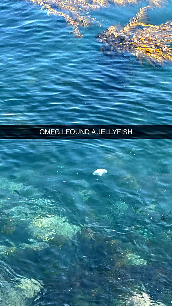 jadelynmusic image ~ Altpins