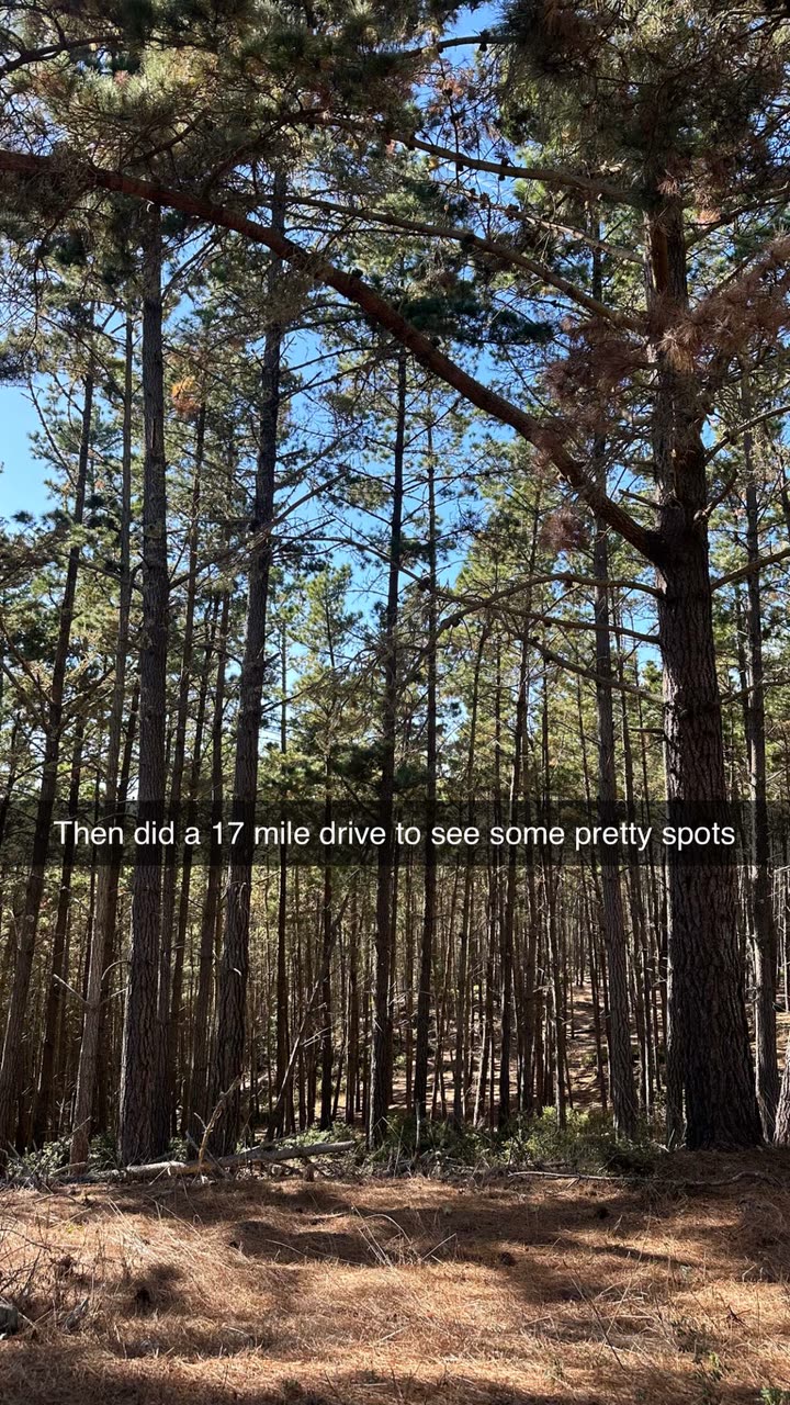 jadelynmusic snapchat image archive image