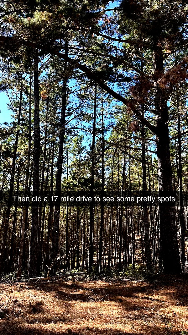 jadelynmusic image ~ Altpins