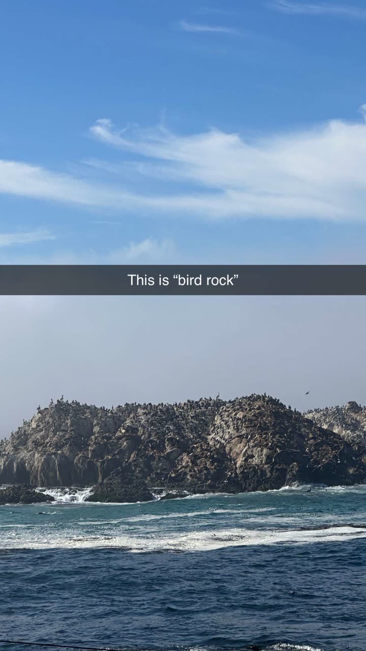 jadelynmusic snapchat image archive image