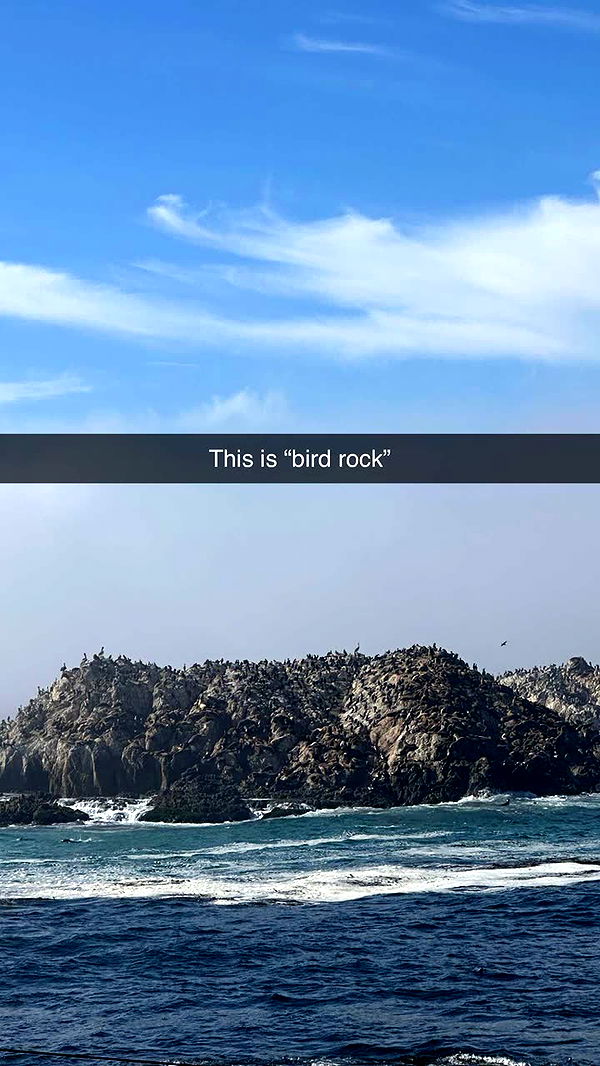 jadelynmusic image ~ Altpins