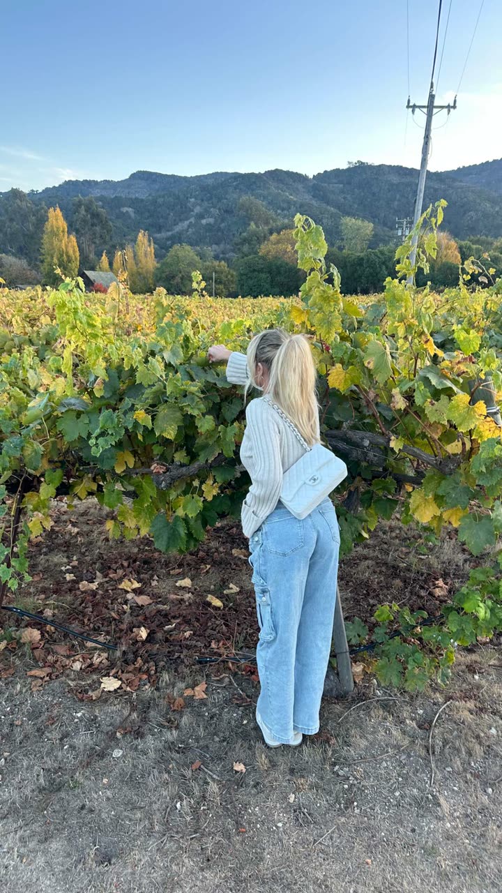 jadelynmusic snapchat image archive image