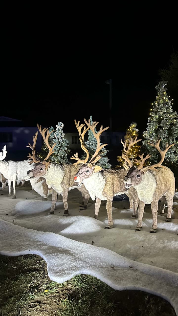 jadelynmusic snapchat image archive image