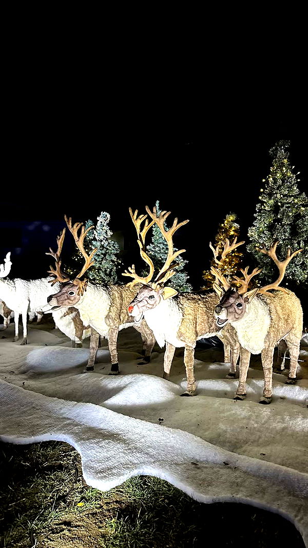 jadelynmusic image ~ Altpins