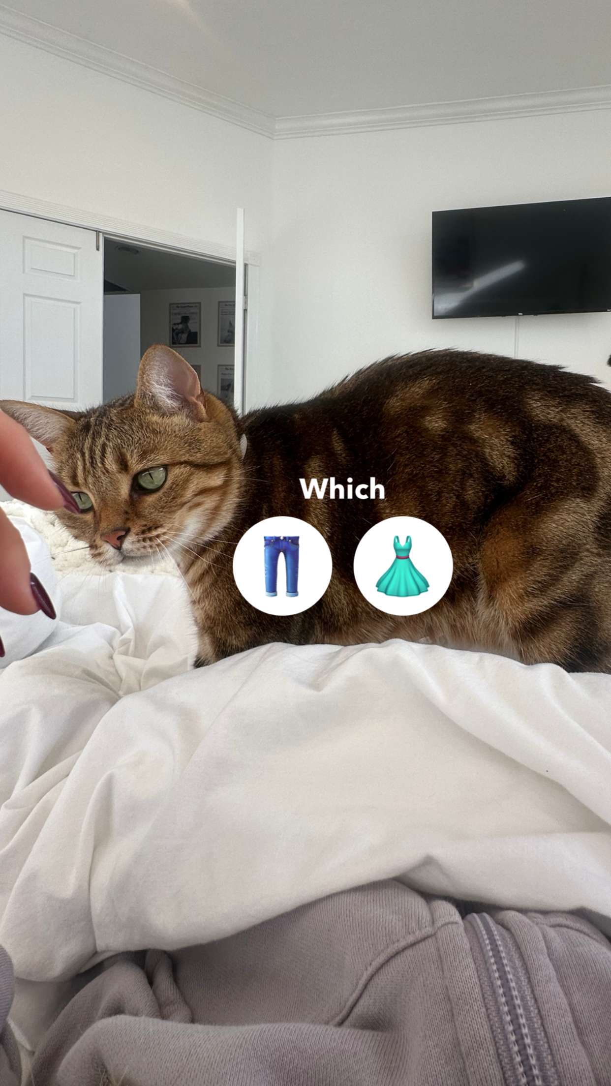 jadelynmusic snapchat image archive image