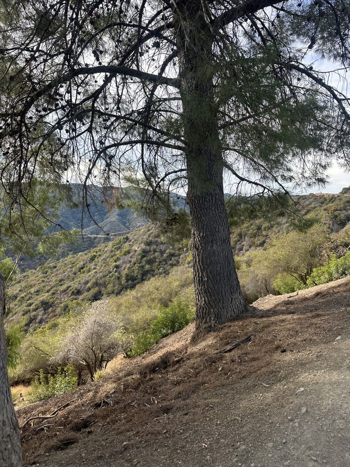 jadelynmusic snapchat image archive image