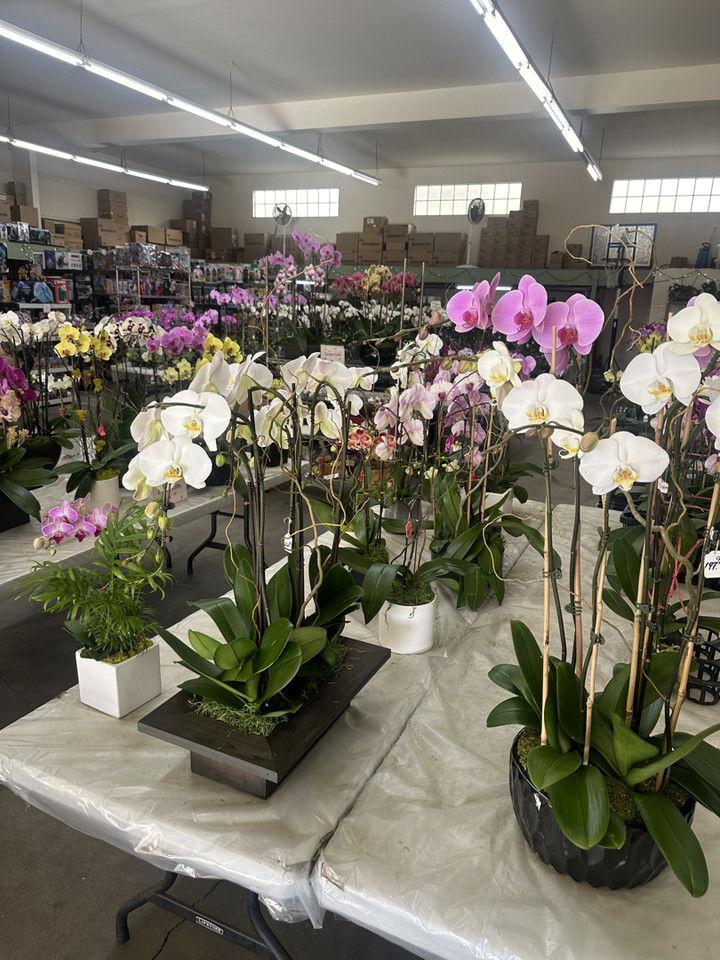 jadelynmusic snapchat image archive image