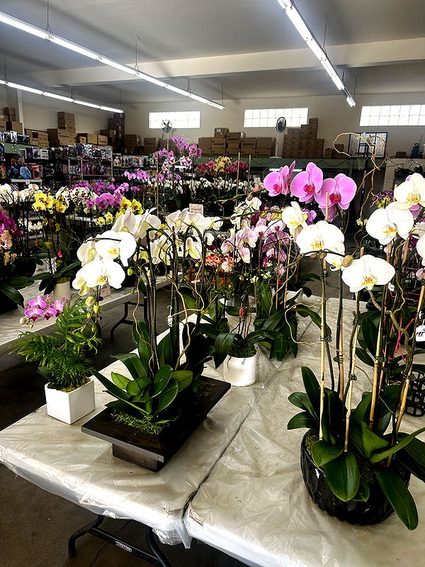 jadelynmusic image ~ Altpins