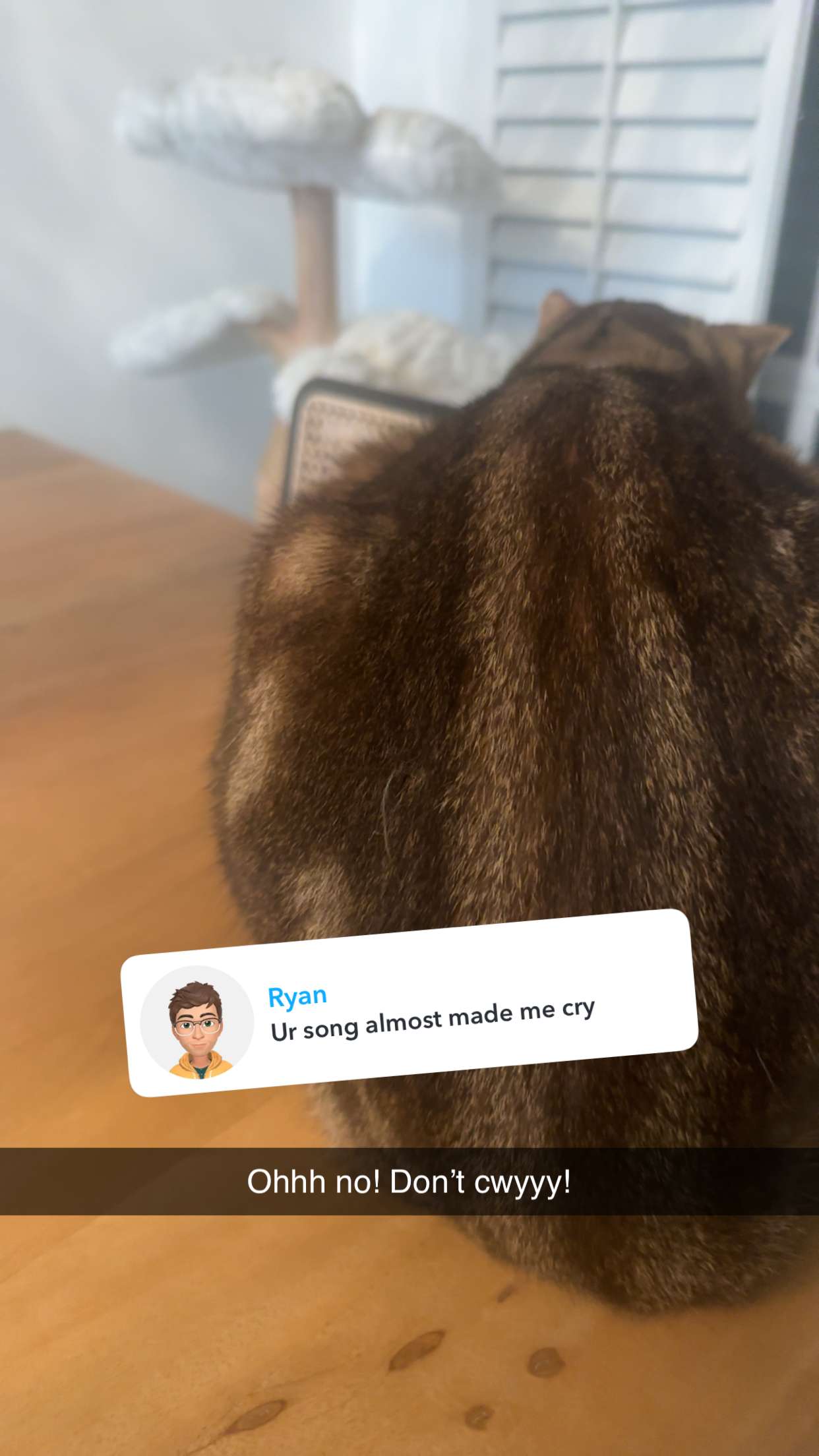 jadelynmusic snapchat image archive image