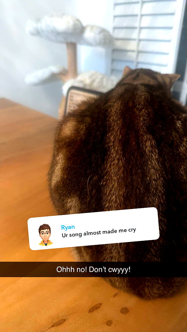 jadelynmusic image ~ Altpins