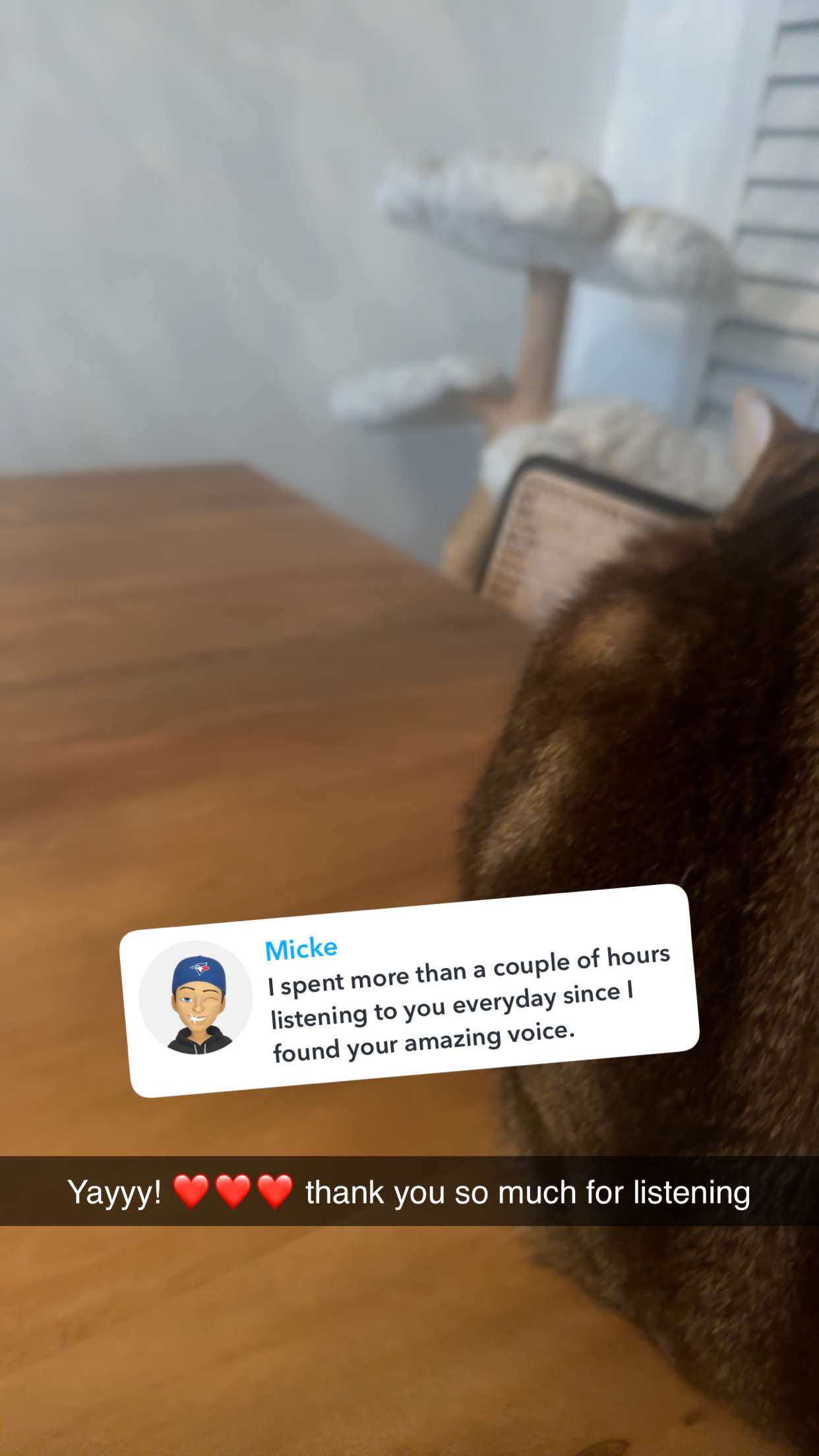 jadelynmusic snapchat image archive image