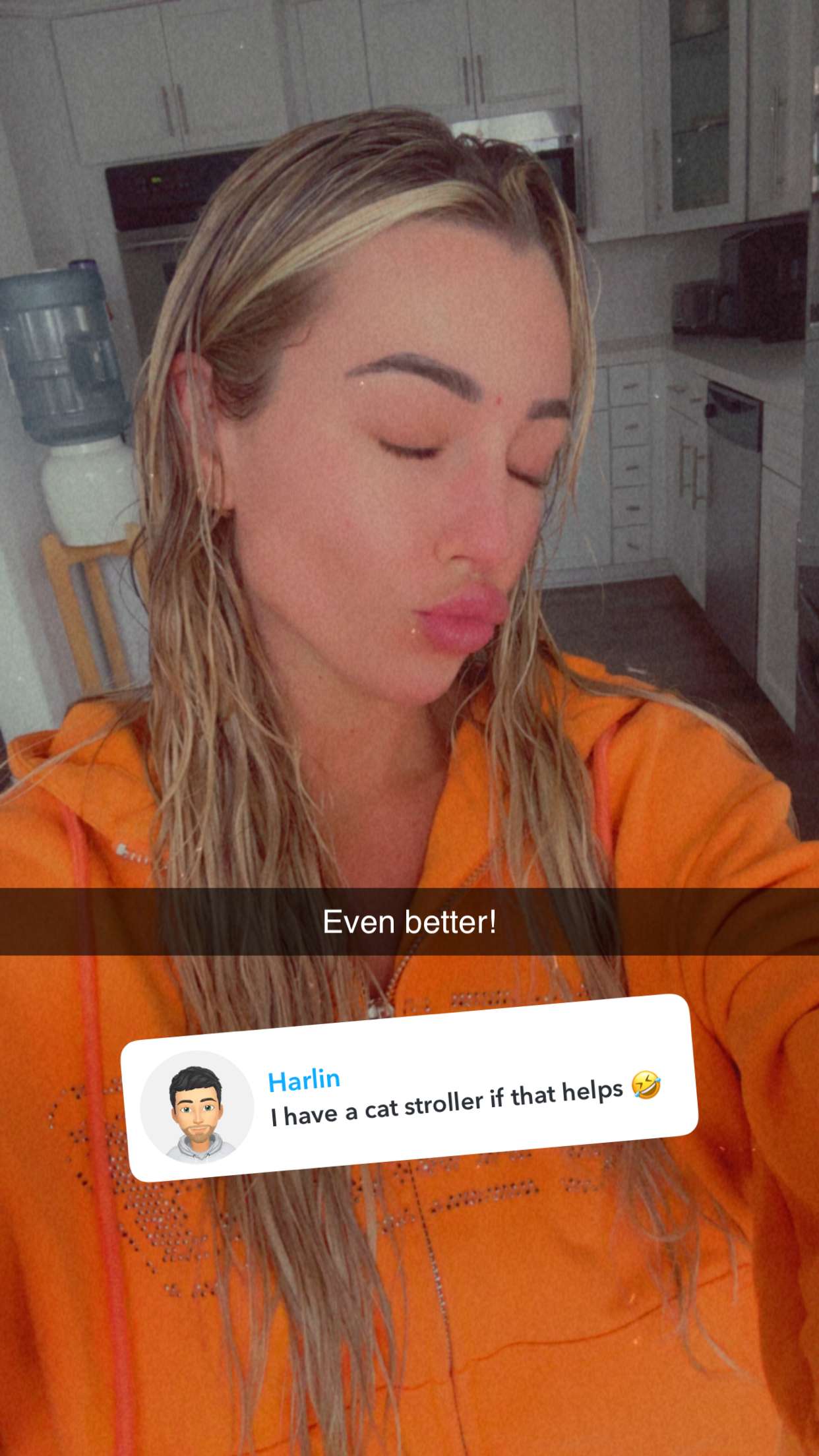 jadelynmusic snapchat image archive image