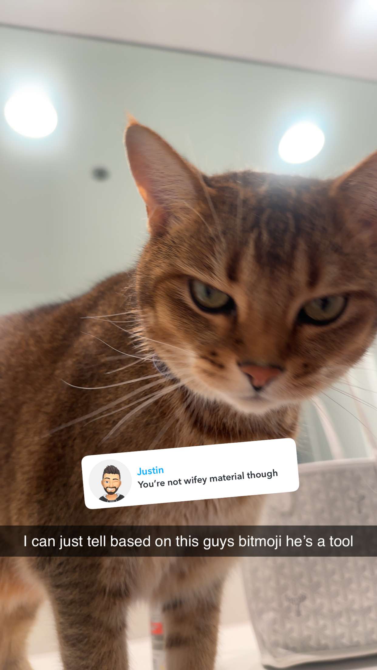 jadelynmusic snapchat image archive image