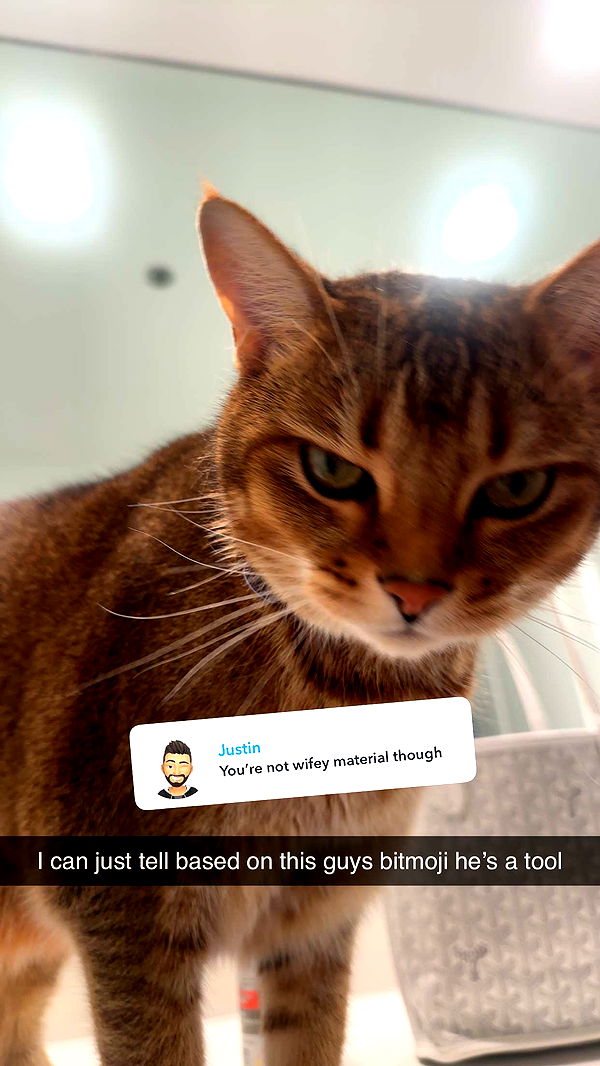 jadelynmusic image ~ Altpins