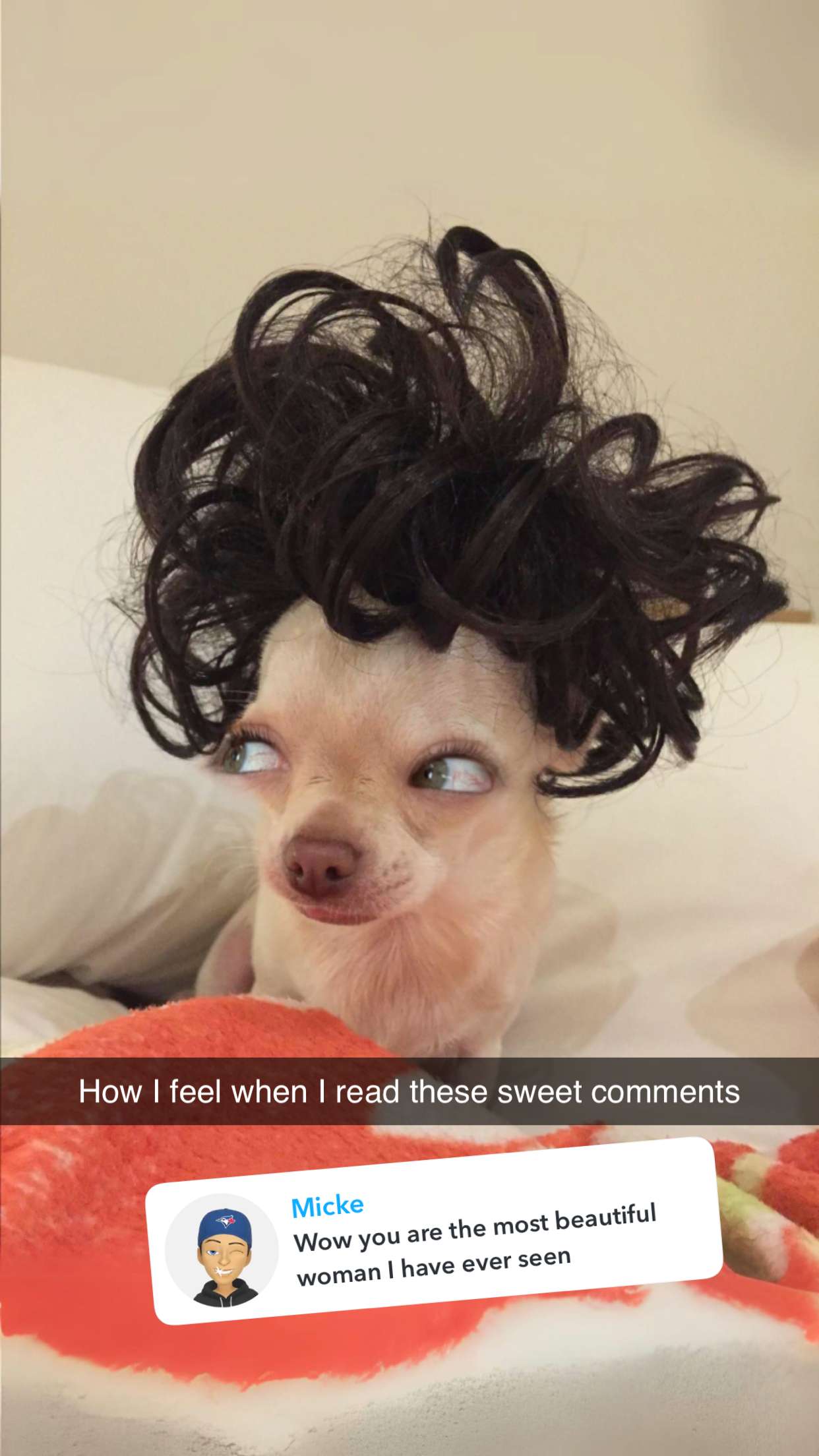 jadelynmusic snapchat image archive image