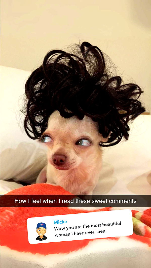 jadelynmusic image ~ Altpins