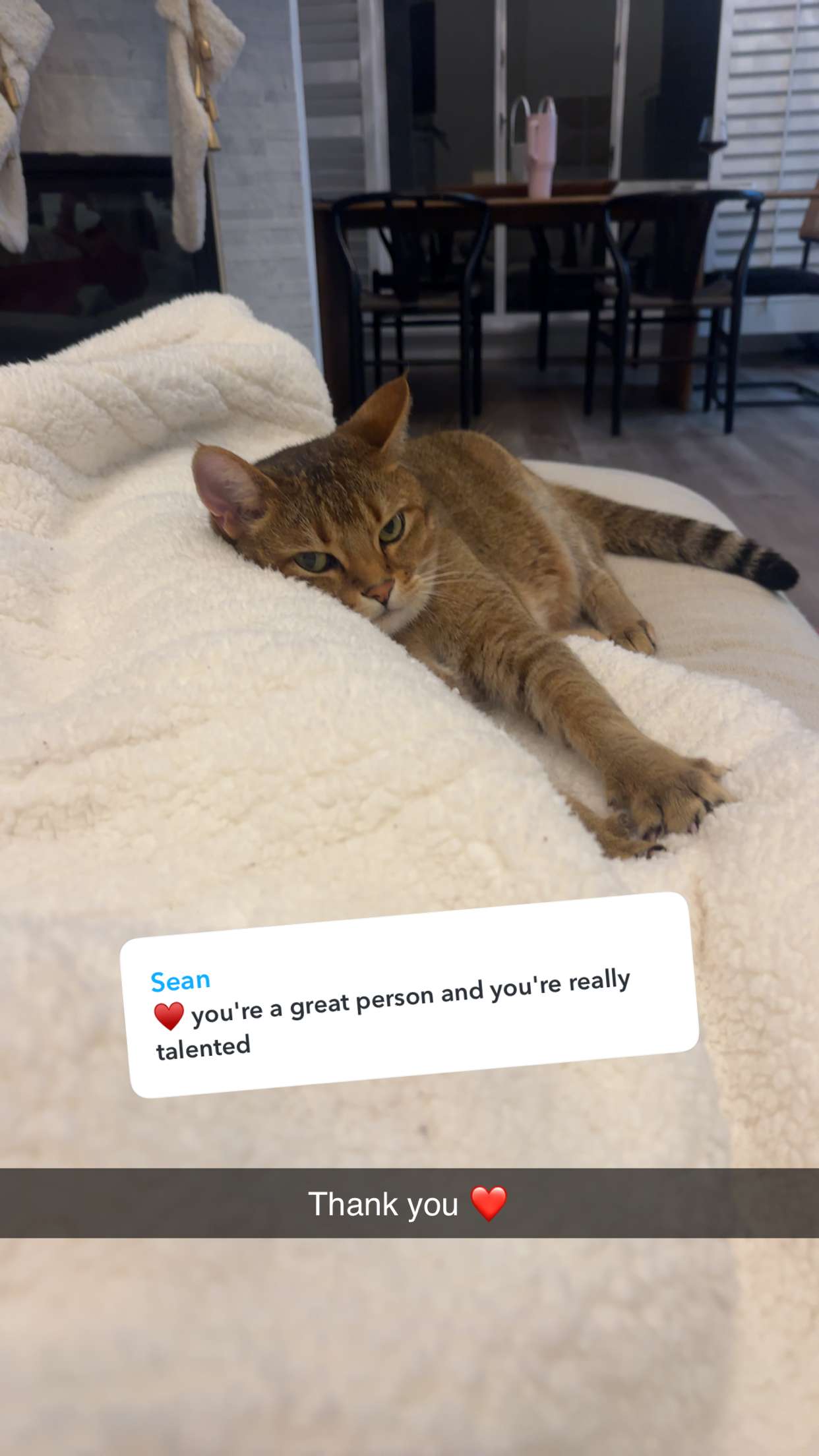 jadelynmusic snapchat image archive image