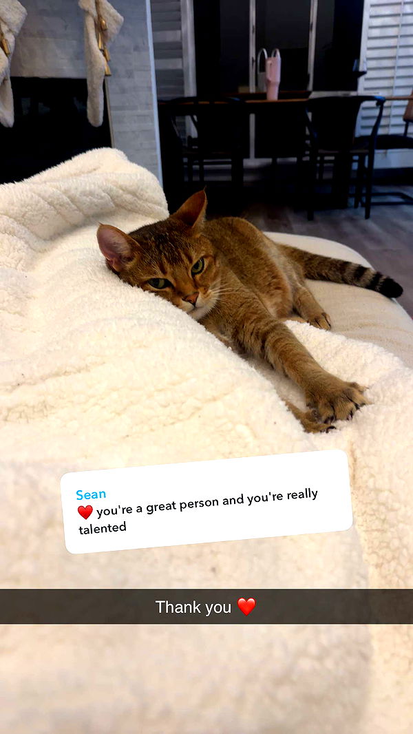 jadelynmusic image ~ Altpins